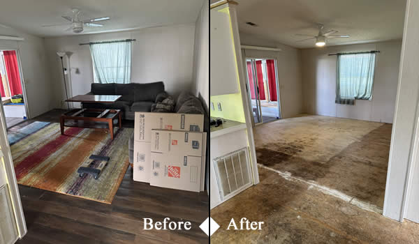 Junk Removal Cleanups