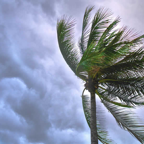 Storm Damage Cleanup Services