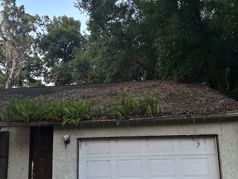 IMG_0575 Alex Wilson