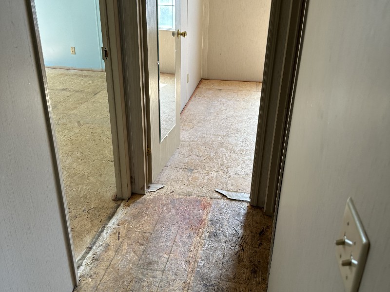 IMG_1206 Alex Wilson