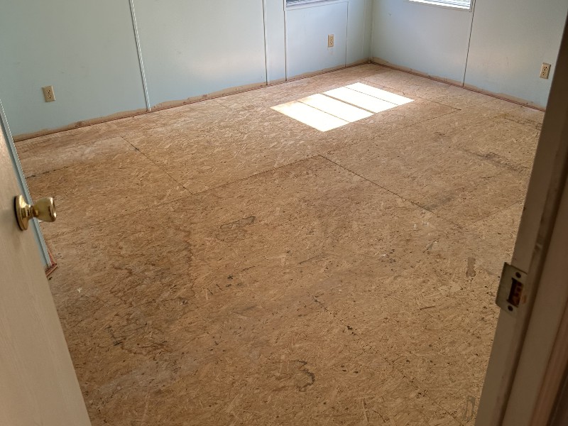 IMG_1207 Alex Wilson