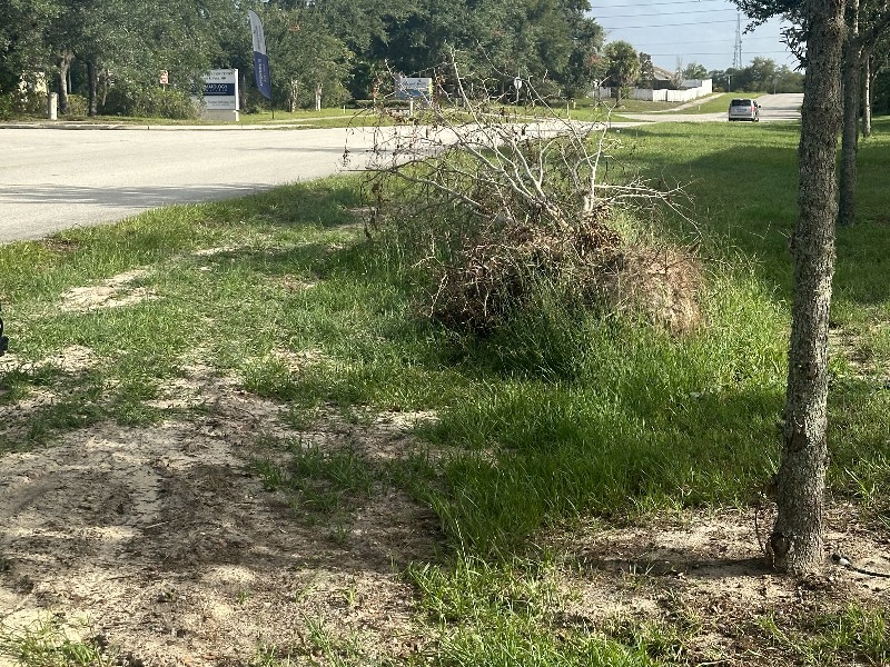 IMG_1382 Alex Wilson