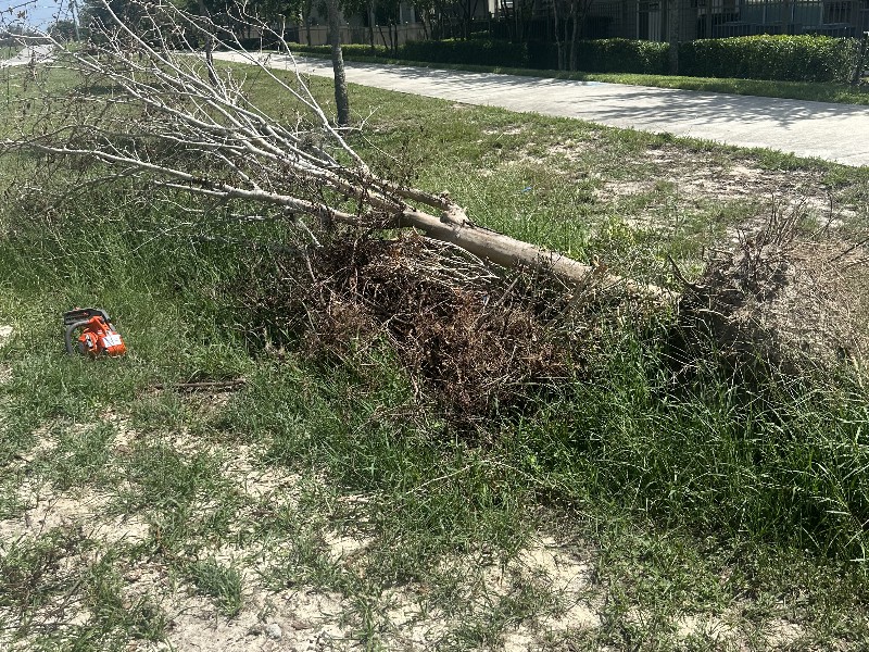 IMG_1386 Alex Wilson