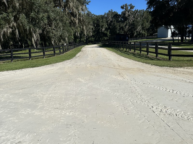 IMG_1752 Alex Wilson